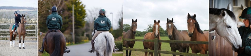 Horse Rehoming